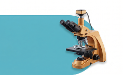 Prolabore Produtos Ergonômicos